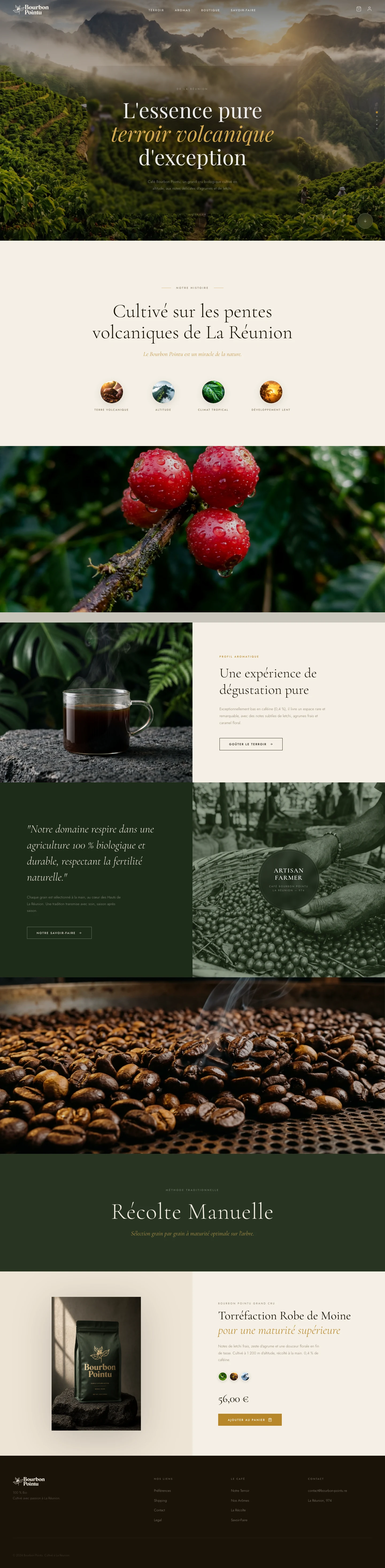Bourbon Pointu — vue complète
